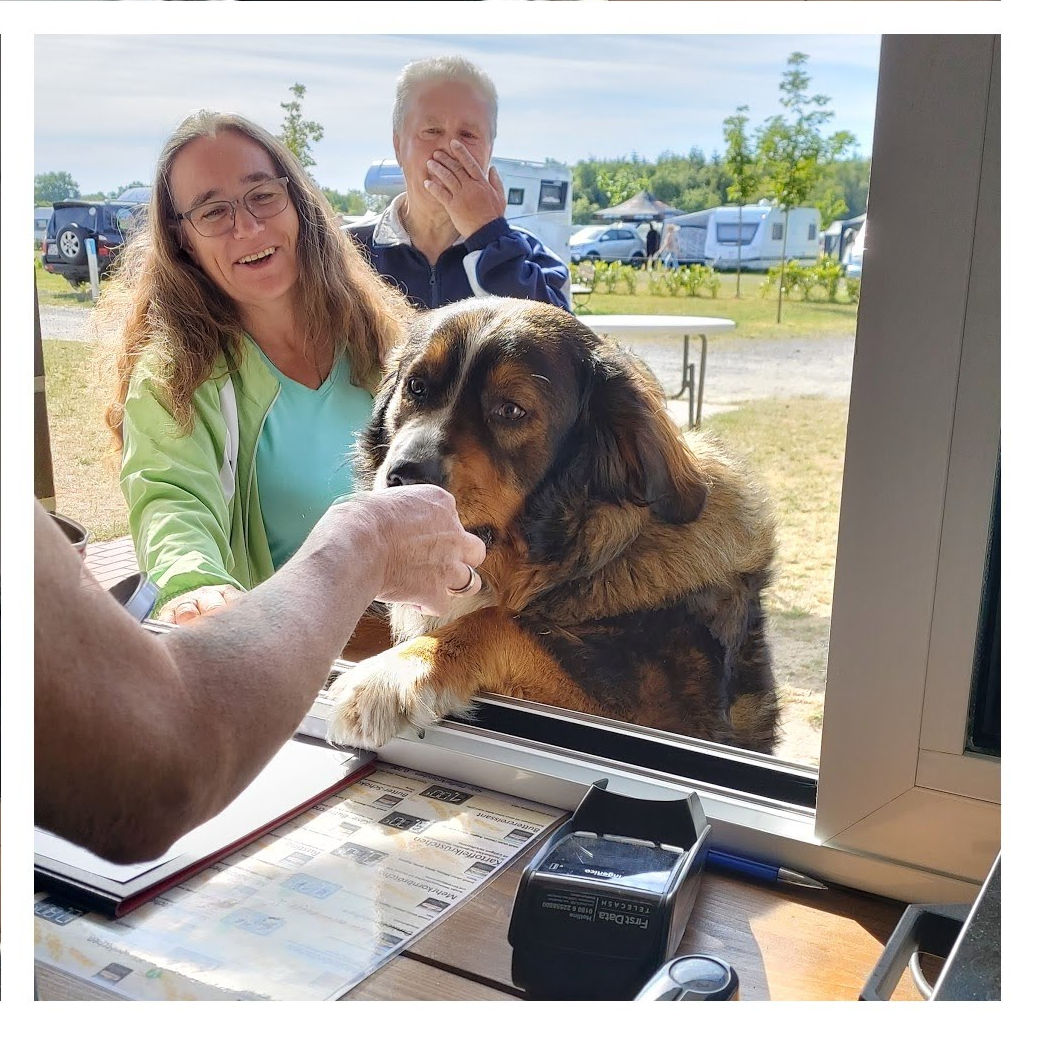 Die Hand die mich füttert, beiße ich nicht!