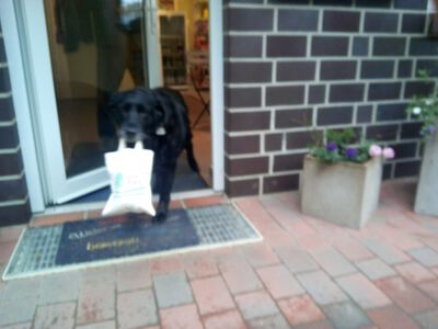 Frühstücksbrötchen on the way